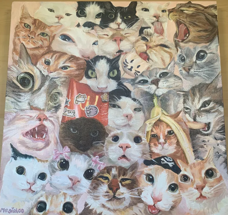 Chats en Rose